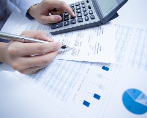 Annual Accounts and Tax Returns
